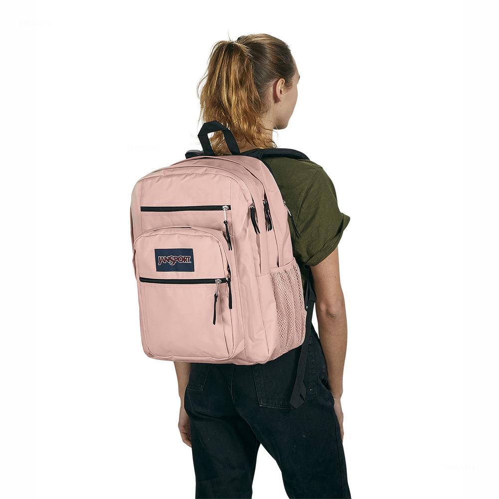 Sac à Dos Ordinateur JanSport BIG STUDENT Rose | ERJ-43547552